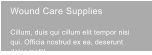 Wound Care Supplies  Cillum, duis qui cillum elit tempor nisi qui. Officia nostrud ex ea, deserunt dolor mollit